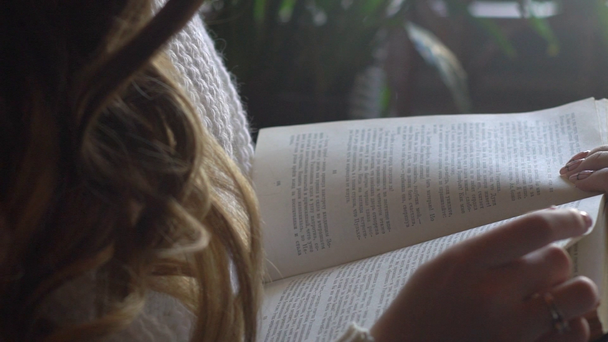 Girl Reading Book In Cafe - Filmati, video