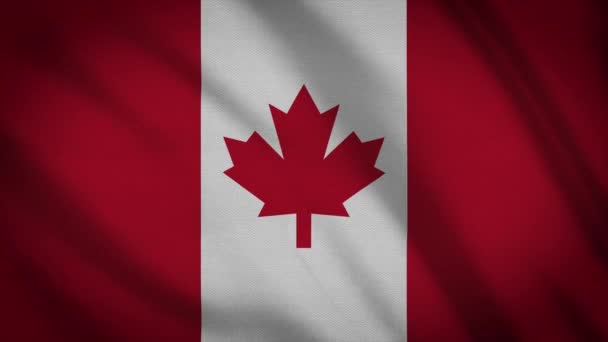 Video of Canada Flag - Footage, Video