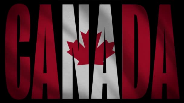 Canada Flag With Canada Mask - Footage, Video