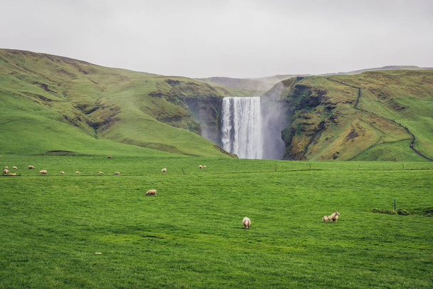 Distance view of famous Skogafoss waterfall located in south part of Iceland - Φωτογραφία, εικόνα