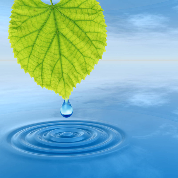 Concept or conceptual clean spring water or dew drop falling from a green fresh leaf on 3D illustration blue clear water making waves - Photo, Image