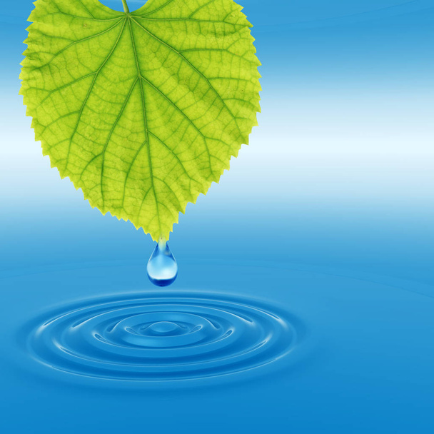 Kavram ya da kavramsal temiz kaynak suyu veya çiğ bırakın dalgalar yapma 3d illüstrasyon mavi temiz su üzerinde yeşil bir taze yaprak düşüyor - Fotoğraf, Görsel