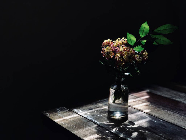 beautiful Lantana camara or Cloth of gold flowers and green leaves in glass bottle on rustic wooden table - Photo, Image