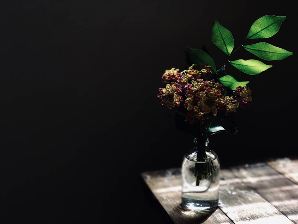 beautiful flowers Lantana camara or Cloth of gold and fresh green leaves in glass bottle on wooden table on black  - Fotó, kép