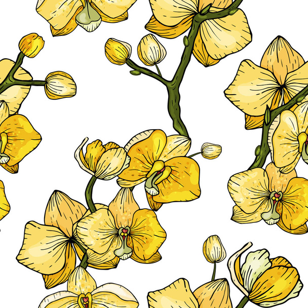 Квітучі квіти. Реалістичний ізольований безшовний квітковий візерунок орхідеї. Вінтажний фон. Шпалери. Рука намальована. Векторні ілюстрації
. - Вектор, зображення