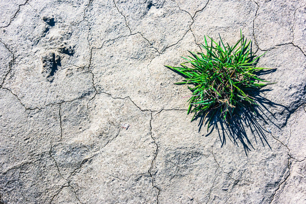 Dry soil in the time of drought. Precipitation deficiency. - Photo, Image