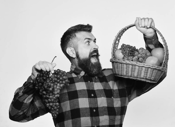 Man with beard holds basket with fruit and purple grapes - Φωτογραφία, εικόνα