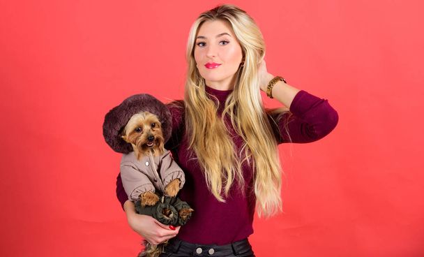 Girl hug little dog in coat. Woman carry yorkshire terrier. Make sure dog feel comfortable in clothes. Apparel and accessories. Dressing dog for cold weather. Which dog breeds should wear coats - Foto, afbeelding