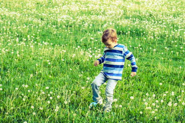child field grass boy childhood dandelion fun. little. - Foto, Imagen