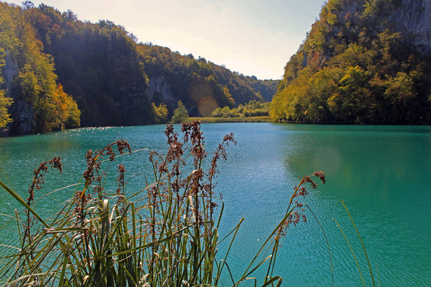 クロアチアのプリトヴィツェ湖群国立公園での沈黙. - 写真・画像