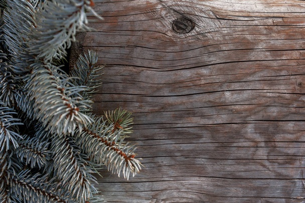 Κλαδιά δέντρων ελάτης σε ένα ρουστίκ ξύλο με φόντο ένα κόμπο, αντίγραφο χώρου. Βολή στο φως της ημέρας. Χαιρετισμούς, διακοπές. - Φωτογραφία, εικόνα