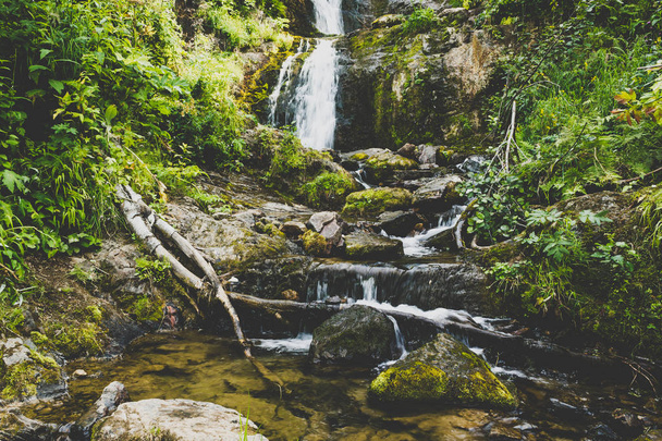 Cascada de montaña en el bosque de verano. Río con piedras mojadas y plantas en la orilla
. - Foto, imagen