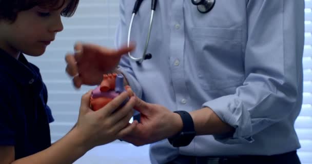 Side view of young asian male doctor showing heart model to caucasian boy patient in clinic. Male doctor interacting with patient 4k - Materiaali, video