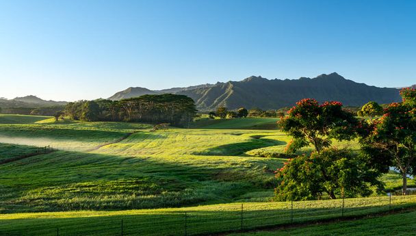 Striking landscape of Jurassic garden island of Kauai - Foto, afbeelding