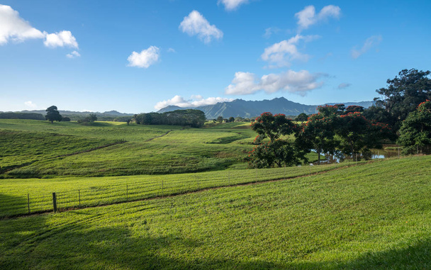 Striking landscape of Jurassic garden island of Kauai - Foto, Imagen