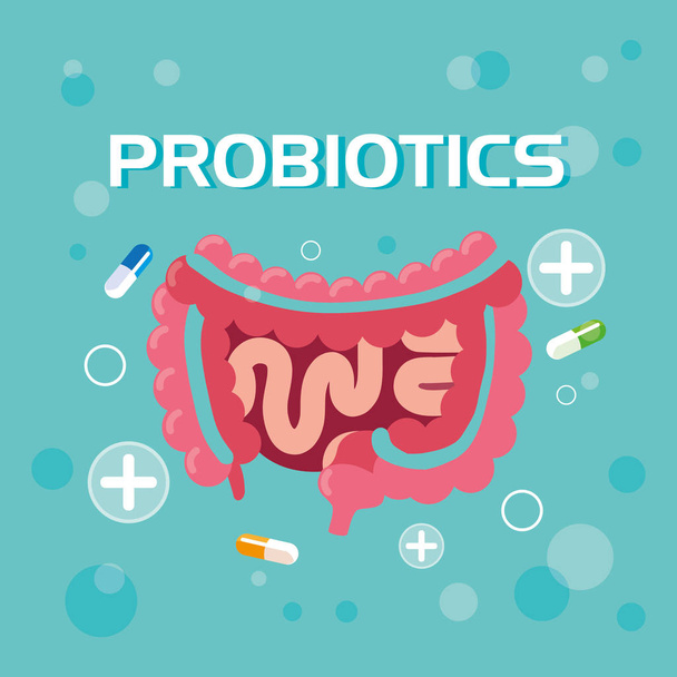 digestive system with probiotics medicines - Vector, Image