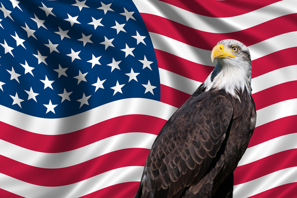 Bandiera USA con aquila calva
 - Foto, immagini