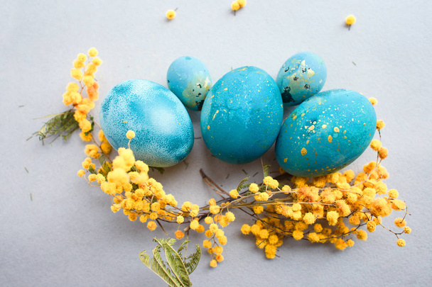 Composition of Easter eggs of turquoise color and sprigs of mimosa on a gray background - Photo, image