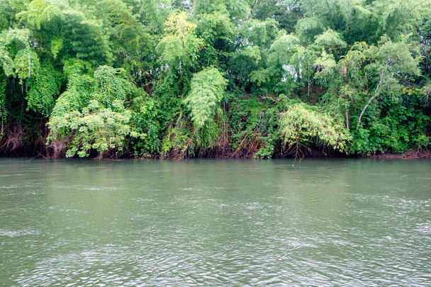 grüner Dschungel mit fliessendem Fluss bei Sai Yok, Kanchanaburi, Thailand - Foto, Bild