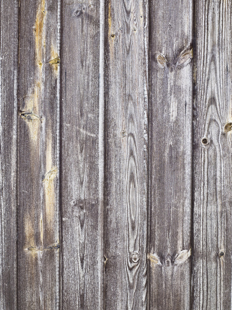 dřevěné dveře - Fotografie, Obrázek