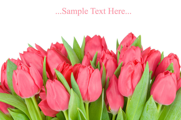 Bouquet of tulips isolated on white background - Foto, Imagen