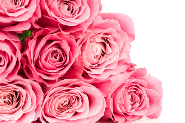 Pink roses - Φωτογραφία, εικόνα