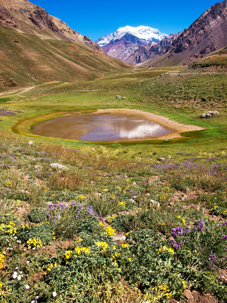 όμορφο τοπίο με aconcagua στο παρασκήνιο όπως φαίνεται στο aconcagua εθνικό πάρκο, Αργεντινή, Νότια Αμερική - Φωτογραφία, εικόνα