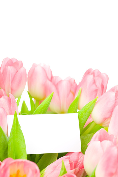 Tulipes avec carte de vœux isolées sur fond blanc
 - Photo, image