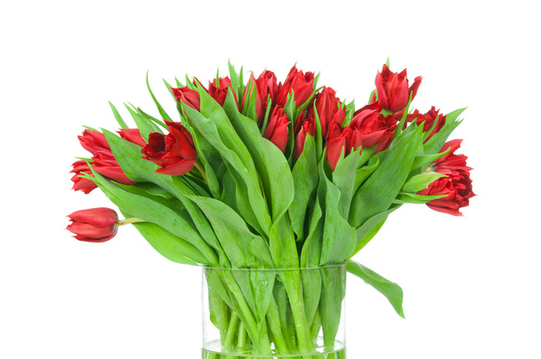 Bouquet of tulips in the vase - Фото, изображение