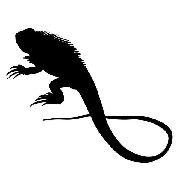 schwarzer Leguan Eidechse Silhouette Vektor Illustration Zeichen - Vektor, Bild