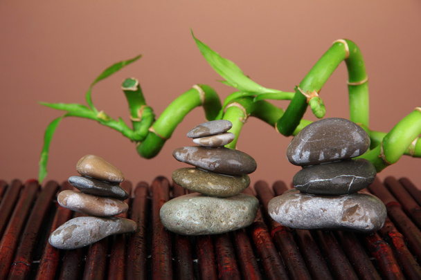 Натюрморт з зеленою бамбуковою рослиною та камінням, на бамбуковому килимку на кольоровому фоні
 - Фото, зображення