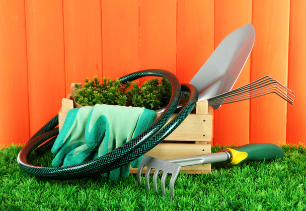 Garden tools on grass in yard - Foto, imagen