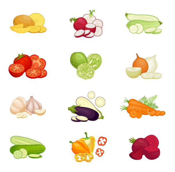A set of compositions of various vegetables. Vector illustration. - ベクター画像