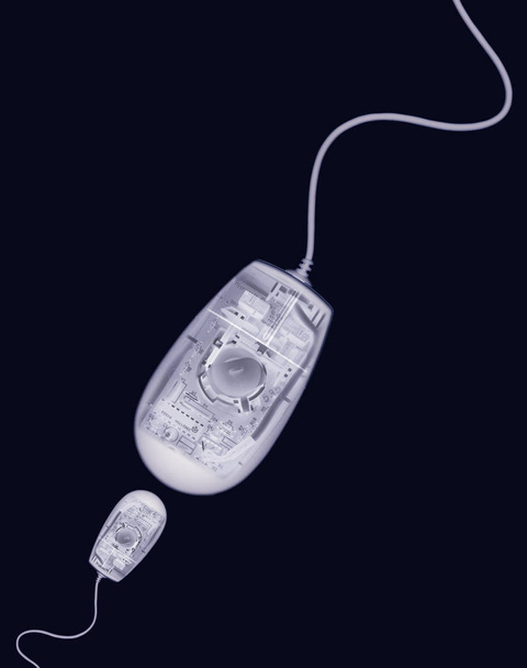 X RAY PHOTOGRAPHIC IMAGE OF COMPUTER MICE SWIMMING ON BLACK BACKGROUND - Photo, Image