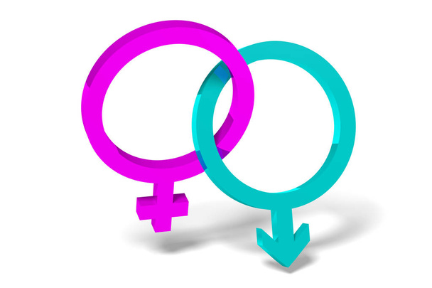3D illustration - gender concept - Photo, Image