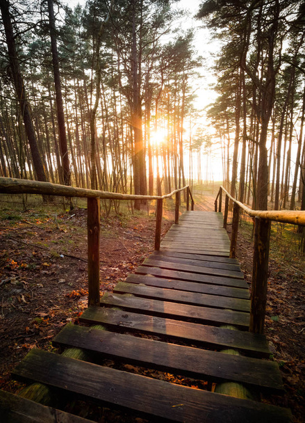 Régi, fából készült lépések egy szép lépcső, Litvániában, Klaipeda napnyugtakor a tenger, egy fenyves erdőben vezető - Fotó, kép