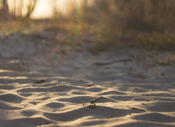 Beautiful sand of the Baltic beach at sunset in Klaipeda, Lithuania - Foto, Bild