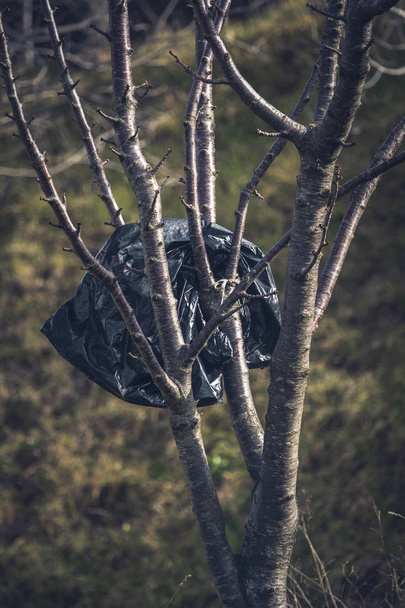 Plastic afval zak geplakt op de top van de boom. Op het concept van milieubescherming, recycling en plastic afval, ook globale opwarming van de aarde - Foto, afbeelding