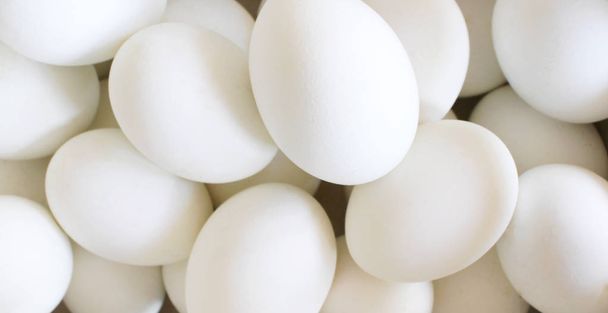 Eieren, rauwe ei-wit foto in studio korte macro close-up en geïsoleerd op een witte achtergrond, voedsel concept. - Foto, afbeelding