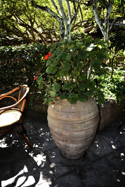 Angolo di un giardino ombreggiato nella vecchia città murata di Rodi perfetto per rilassarsi in una giornata calda nelle isole del Dodecaneso della Grecia
 - Foto, immagini