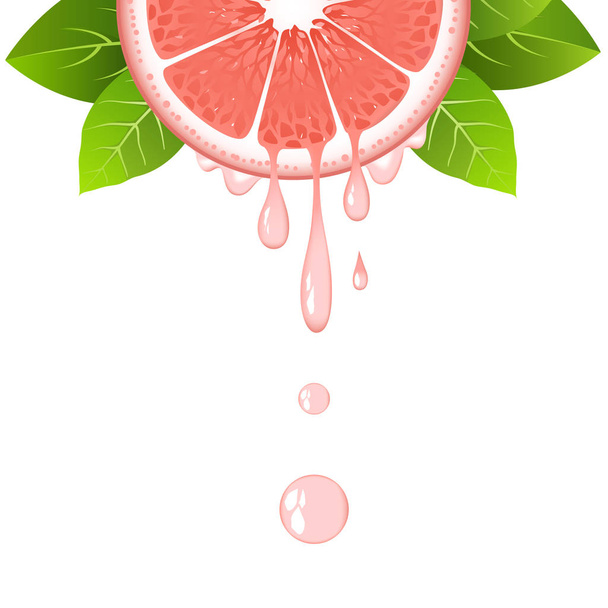 Настоящий наполовину грейпфрутовый ломтик с листьями и капельками сока. Сочные фрукты. Свежий цитрусовый дизайн на белой векторной иллюстрации
 - Вектор,изображение
