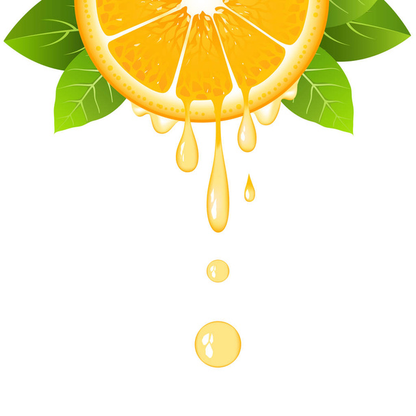 Realistic half orange slice with leaves and drops of juice. Juicy fruit. Fresh citrus design on white background vector illustration - Vector, Image