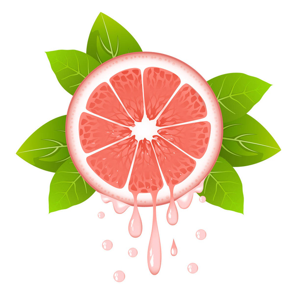 realistische Grapefruitscheibe mit Blättern und Tropfen Saft. saftige Früchte. frisches Zitrusdesign auf weißer Vektorillustration - Vektor, Bild