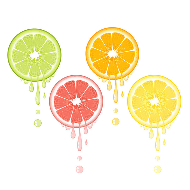 Fatia cítrica realista com folhas e gotas de suco. Limão suculento de toranja limão e frutas de laranja. Design de fruta orgânica fresca em fundo branco ilustração vetorial
 - Vetor, Imagem
