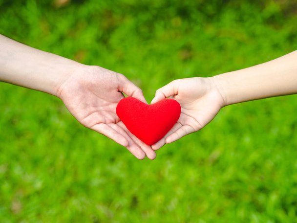 Las manos en forma de corazón de hombre y mujer sostienen el corazón rojo. Pareja, Amor, Concepto de San Valentín
. - Foto, imagen