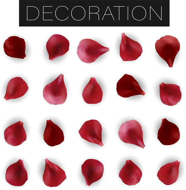 Set di realistici petali di rosa rossa o fiori isolati su sfondo bianco, foglie floreali
 - Vettoriali, immagini
