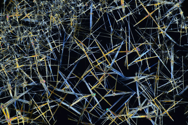Photo through a microscope of crystals grown from a solution of CuCl in alcohol. Polarized light technology. - Valokuva, kuva