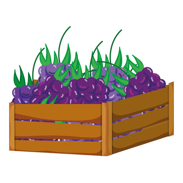 köstliche Trauben Früchte in Holz Korb Vektor Illustration - Vektor, Bild