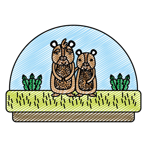 pareja doodle oso lindo animal en el campo vector ilustración
 - Vector, Imagen