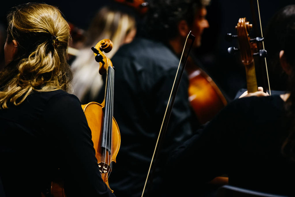 Γυναίκα fiddler κατά τη διάρκεια μιας συναυλίας, φόντου σε μαύρο χρώμα. - Φωτογραφία, εικόνα